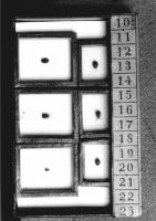 20_Beispiel_aus_der_alten_Käfersammlung