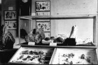 42_Neuzugänge_im_Vorraum_des_Museums