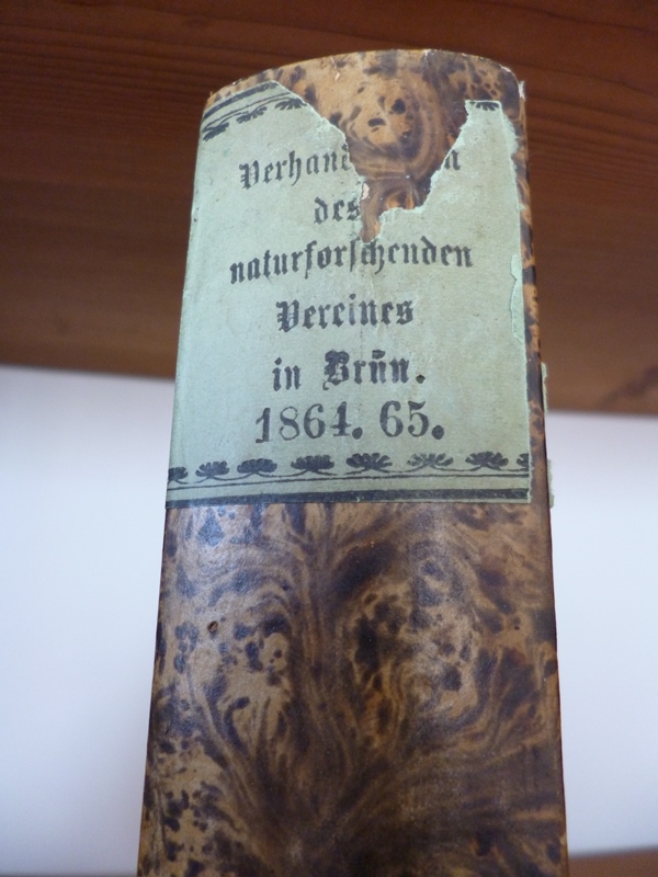 B3 Buchrücken des gebundenen Bandes mit den Verhandlungen des naturforschenden Vereines in Brünn von 1864 und 1865