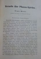 B6_Erste_Seite_des_bahnbrechenden_Artikels_von_Gregor_Mendel._-_Versuche_über_Pflanzen-Hybriden