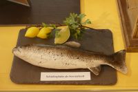 e_Detail_Schieferplatte_als_Servierbrett_GS