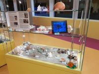 b_Vitrine1_Schnecken_KH