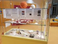 d_Vitrine3_Weichtiere_KH