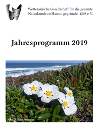 flyer2019