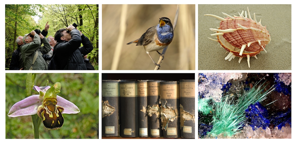 Collage Wetterauische Gesellschaft