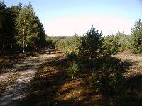 Große Exkursion in die Niederlausitz