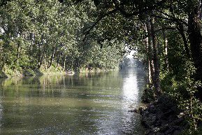 Wanderung im Naturschutzgebiet Kühlkopf - Knoblauchsaue