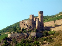 Exkursion im Rheingau
