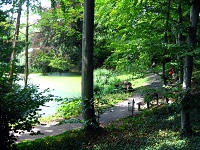 Exkursion in den botanischen Garten und das Mathematikum Gießen