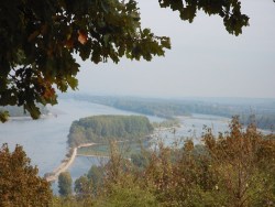 Exkursion in die Rheinauen bei Ingelheim