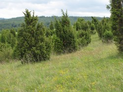 Große Exkursion in die Eifel