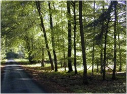 Wanderung in den Mönchbruch