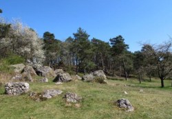 Das Tertiär - ein erdgeschichtlicher Überblick und unsere Beiträge aus der Wetterau