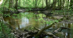 Fahrradexkursion in die Bulau im Raum Hanau-Erlensee
