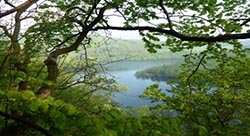 Große Exkursion an den Edersee