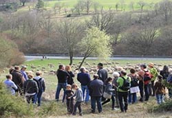 Wetterauer Hutungen