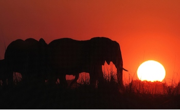 Rundreise durch Namibia