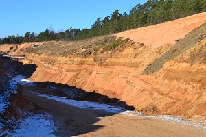 20201021 Seidenschwann