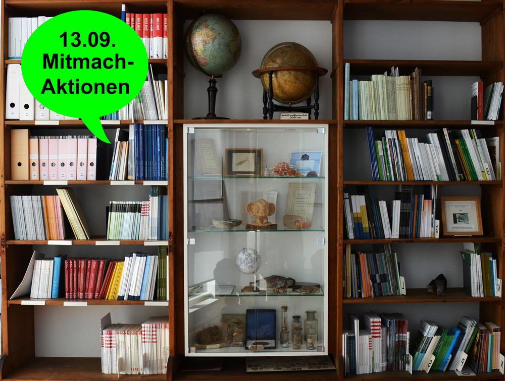 Teilansicht der Bibliothek mit Exponatvitrine © Wetterauische Gesellschaft