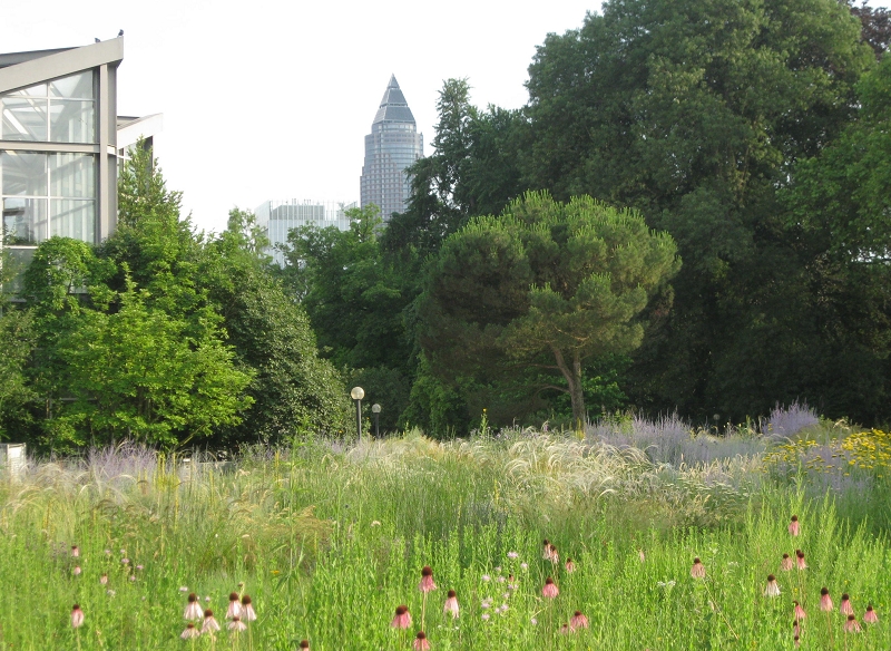 Stadtnatur im Palmengarten Frankfurt © Dr. Julia Krohmer